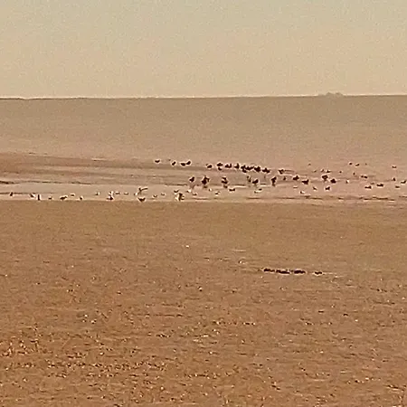 Maison Familiale De 3 Avec Jardin, Les Animaux Domestiques, Dans Un Village D'estuaire