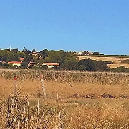 Maison Familiale De 3 Avec Jardin, Les Animaux Domestiques, Dans Un Village D'estuaire Saint-Seurin-d'Uzet