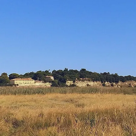 Maison Familiale De 3 Avec Jardin, Les Animaux Domestiques, Dans Un Village D'estuaire *