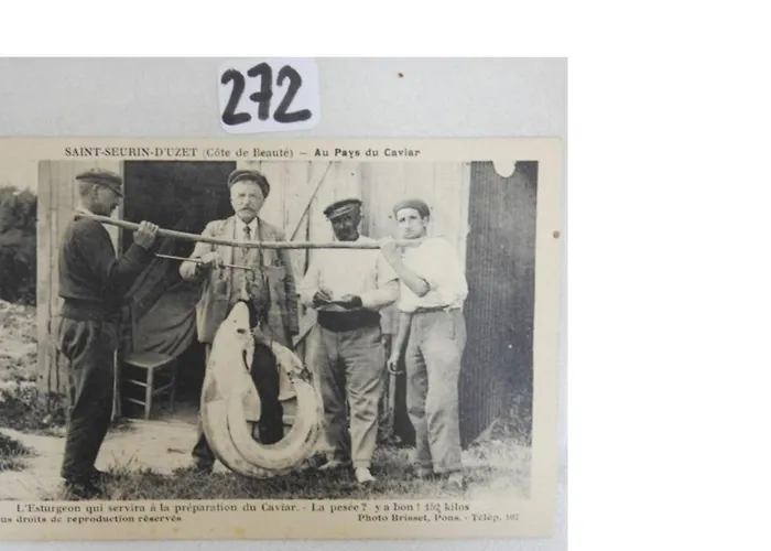 بيت للعطل Maison Familiale De 3 Avec Jardin, Les Animaux Domestiques, Dans Un Village D'estuaire *