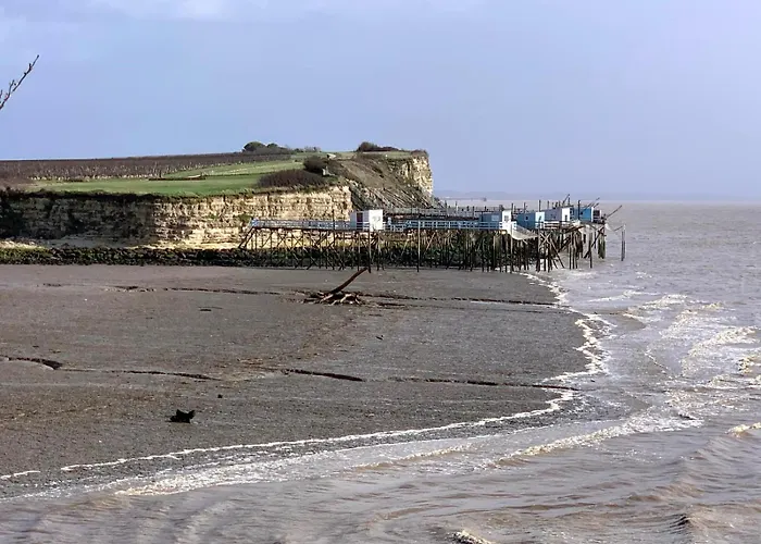 Maison Familiale De 3 Avec Jardin, Les Animaux Domestiques, Dans Un Village D'estuaire بيت للعطل *