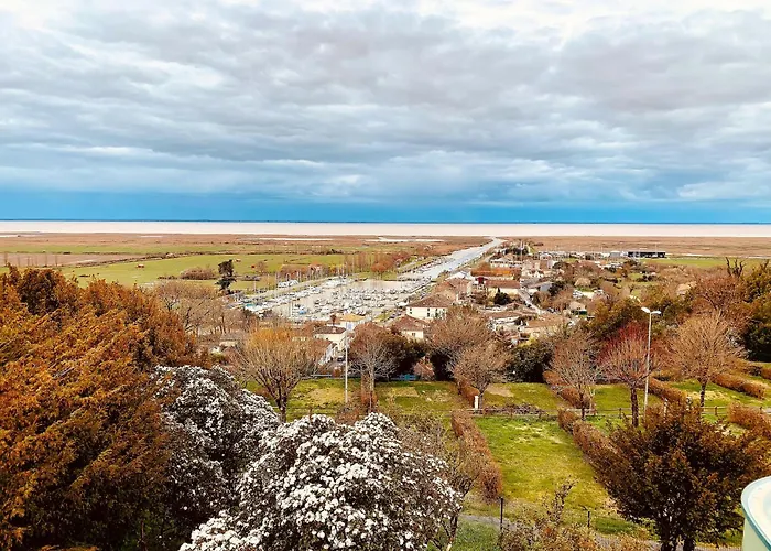 Maison Familiale De 3 Avec Jardin, Les Animaux Domestiques, Dans Un Village D'estuaire