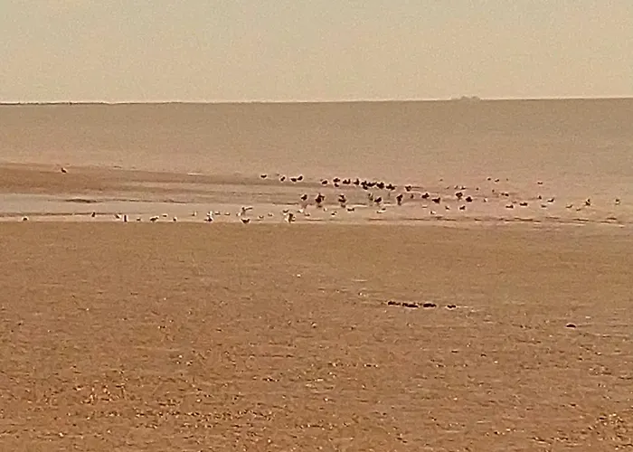 Maison Familiale De 3 Avec Jardin, Les Animaux Domestiques, Dans Un Village D'estuaire