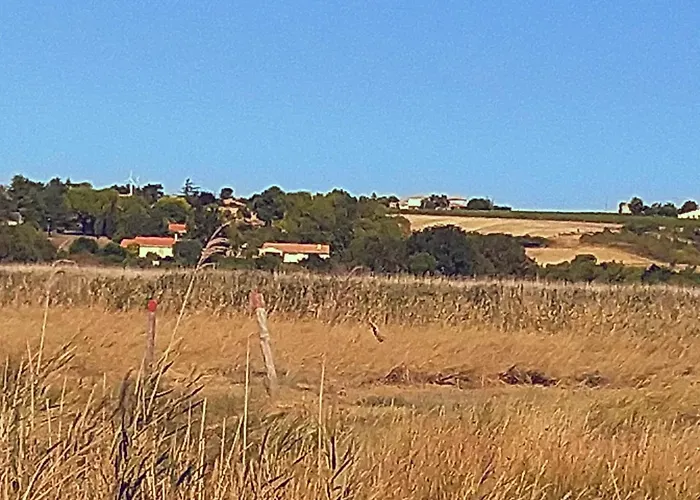 Maison Familiale De 3 Avec Jardin, Les Animaux Domestiques, Dans Un Village D'estuaire Saint-Seurin-d'Uzet
