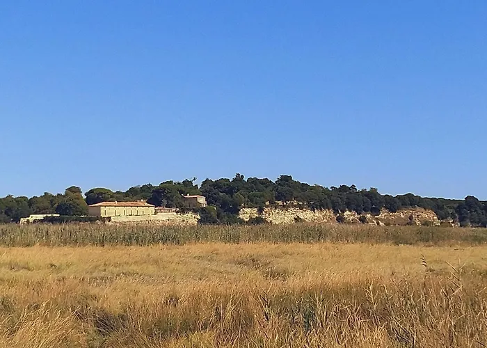 Maison Familiale De 3 Avec Jardin, Les Animaux Domestiques, Dans Un Village D'estuaire *