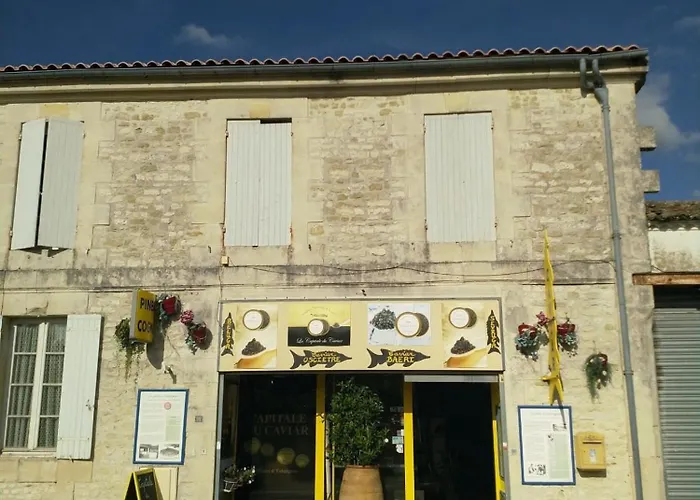 Maison Familiale De 3 Avec Jardin, Les Animaux Domestiques, Dans Un Village D'estuaire بيت للعطل Saint-Seurin-d'Uzet
